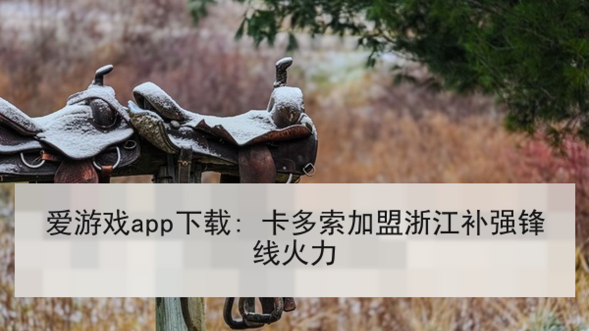 爱游戏app下载: 卡多索加盟浙江补强锋线火力