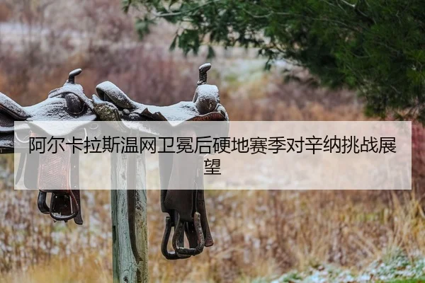 a-er-ka-la-si-wen-wang-wei-mian-hou-ying-di-sai-ji-dui-xin-na-tiao-zhan-zhan-wang-2-112.jpg