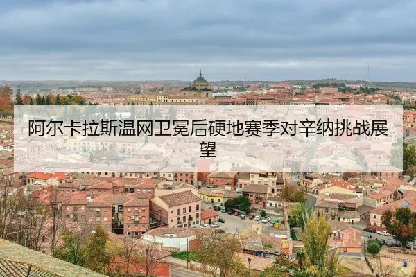 a-er-ka-la-si-wen-wang-wei-mian-hou-ying-di-sai-ji-dui-xin-na-tiao-zhan-zhan-wang-3-599.jpg