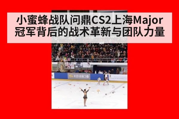 小蜜蜂战队问鼎CS2上海Major冠军背后的战术革新与团队力量
